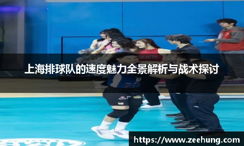 上海排球队的速度魅力全景解析与战术探讨